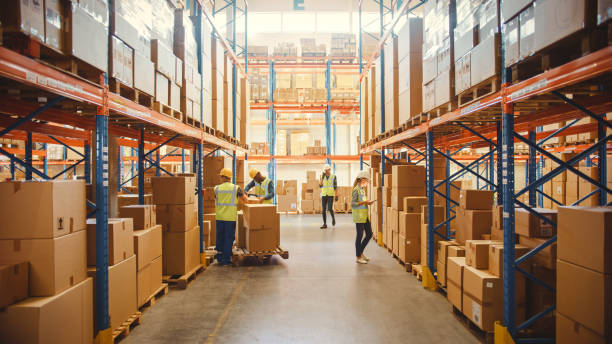 How Automation Improves Warehouse Shipping Efficiency?